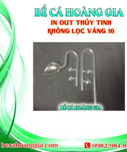 IN OUT THỦY TINH KHÔNG LỌC VÁNG 16