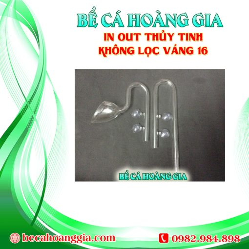 IN OUT THỦY TINH KHÔNG LỌC VÁNG 16