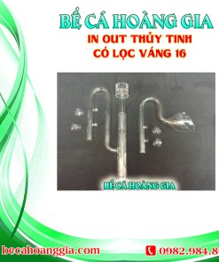 IN OUT THỦY TINH CÓ LỌC VÁNG 16