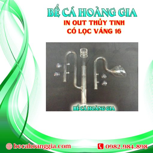 IN OUT THỦY TINH CÓ LỌC VÁNG 16