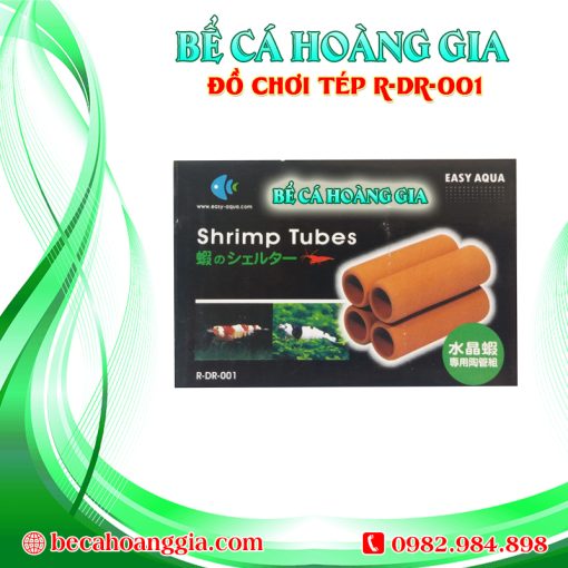 ĐỒ CHƠI TÉP R-DR-001