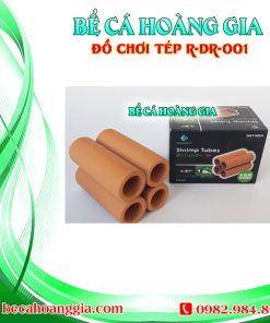 ĐỒ CHƠI TÉP R-DR-001