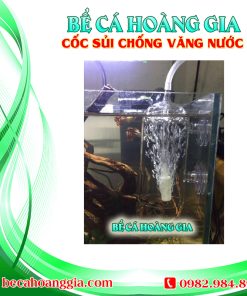 CỐC SỦI CHỐNG VĂNG NƯỚC