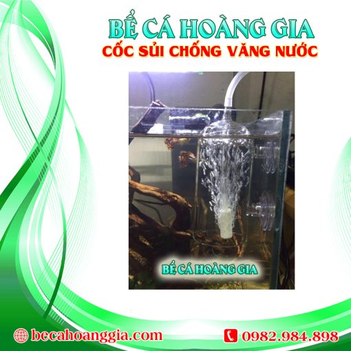 CỐC SỦI CHỐNG VĂNG NƯỚC