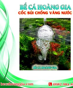 CỐC SỦI CHỐNG VĂNG NƯỚC