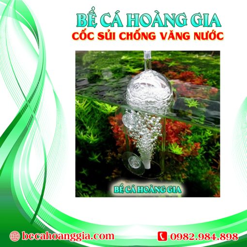 CỐC SỦI CHỐNG VĂNG NƯỚC